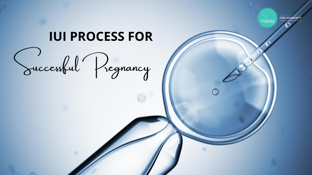 IUI Process